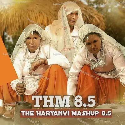Thm The Haryanvi Mashup 8 5 - Jitendra Jadaun album cover 