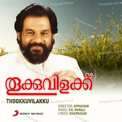 Ambalappuzhayile Ambaadippaithale - P.R. Murali album cover 