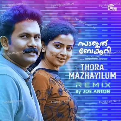 Thora Mazhayilum Remix - Vineeth Sreenivasan album cover 