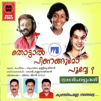 Kallu Shappile Kari Vishesham - Pradeep Palluruthy album cover 