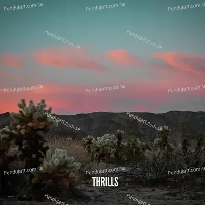 Thrills - Derik Fein