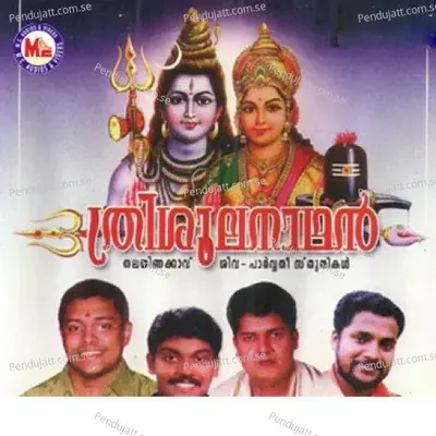 Dhakshina Kailasa - Vilswaraj album cover 