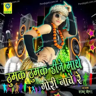Thumak Thumak Dj Mathe Gori Nache Re - Shambhu Meena album cover 