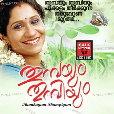 Puzhayude Theerarthu - Chithra Arun album cover 