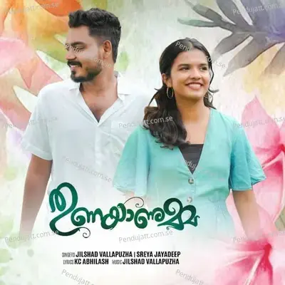 Thunayanumma - Jilshad Vallapuzha album cover 