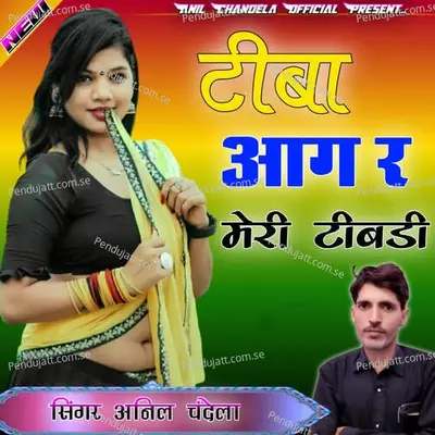 Tiba Aag Re Meri Tibdi - Anil Chandala album cover 