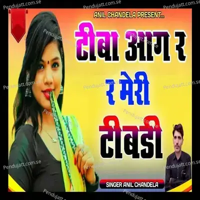 Tiba Aag Re Re Meri Tibdi - Anil Chandala album cover 