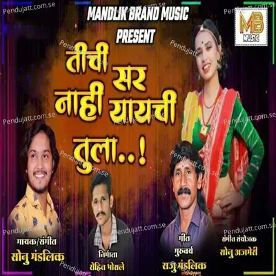 Tichi Sar Nahi Yayachi Tula - Sonu Mandlik album cover 