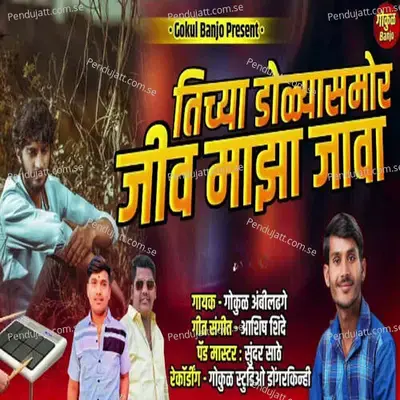 Tichya Dolyasamor Jiv Maza Java - Gokul Ambildhage album cover 