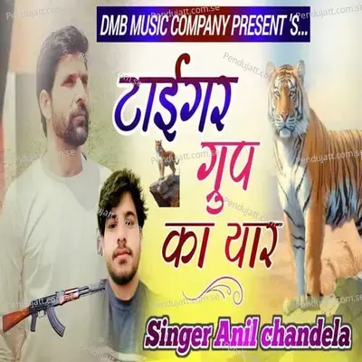 Tiger Group Ka Yaar - Anil Chandela album cover 