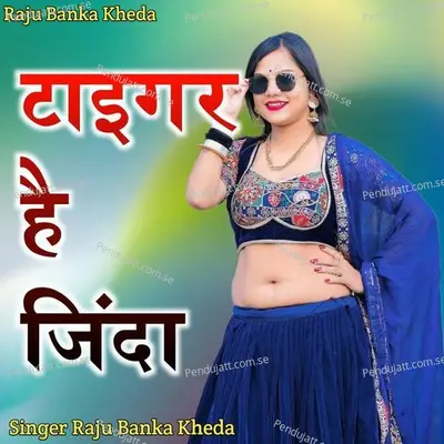 Tiger Hai Jinada - Raju Banka Kheda album cover 