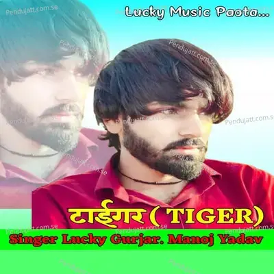 Tiger - Lucky Gurjar album cover 