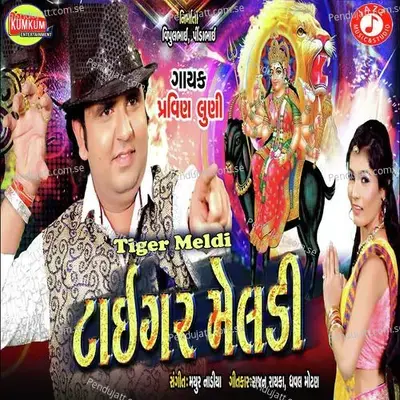 Tiger Meldi - Pravin Luni album cover 