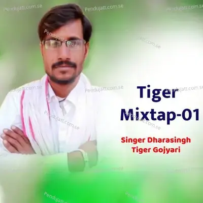 Junter Munter Dekha Chori - Dharasingh Tiger Gojyari album cover 