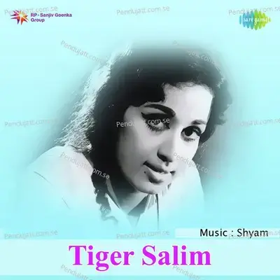 Tiger Salim - Shyam cover album