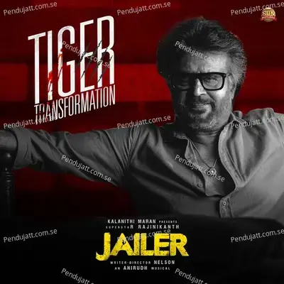 Tiger Transformation - Anirudh Ravichander album cover 