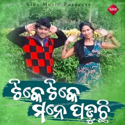 Tike Tike Mane Paduchi - Arbind album cover 