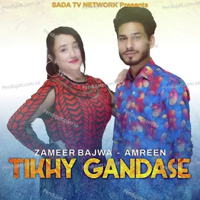 Tikhy Gandase - Zameer Bajwa album cover 