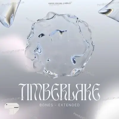 Timberlake  Remix  - Bones cover album