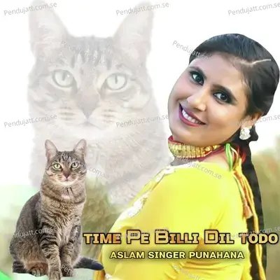 Time Pe Billi Dil Todo - Aslam Singer Punahana album cover 