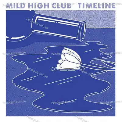 Club Intro - Mild High Club album cover 