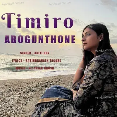 Timiro Abagunthhane - Aditi Roy album cover 