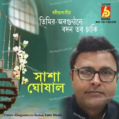 Timiro Abogunthone Badon Tabo Dhaki - Sasha Ghoshal album cover 