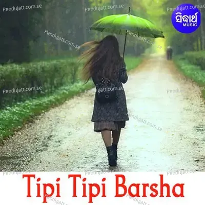Tipi Tipi Barsha - Various Artists