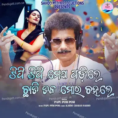 Tipi Tipi Megha Padile Chhati Tala Mora - Papu Pom Pom album cover 