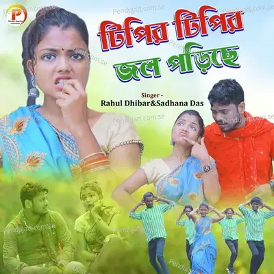 Tipir Tipir Jal Padi Che - Sadhana Das album cover 