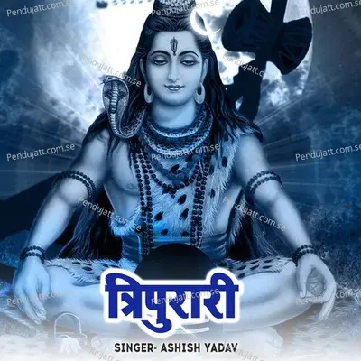 Tipurari - Ashish Yadav album cover 