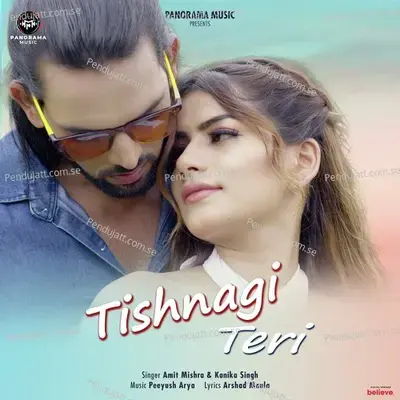 Tishnagi Teri - Amit Mishra album cover 