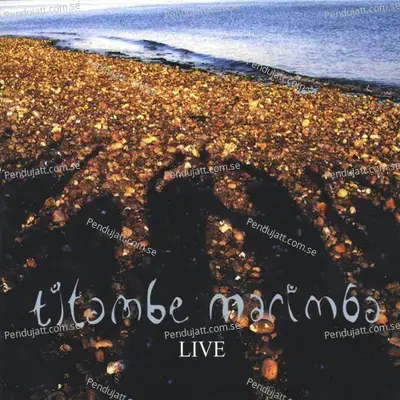 Talking Drum Solo - Titambe Marimba album cover 