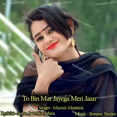 To Bin Mar Jayega Meri Jaan - Manish Mastana album cover 