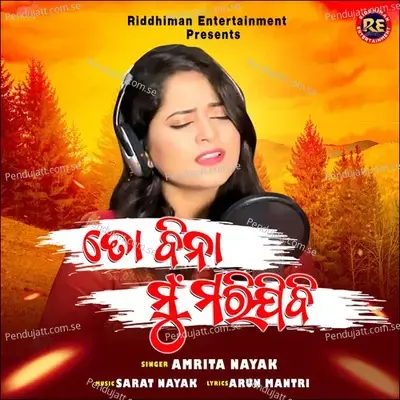 To Bina Mu Marijibi - Amrita Nayak album cover 