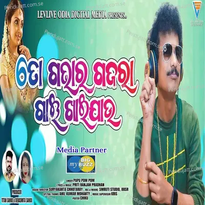 To Gabha Ra Gajara Gai Khai Jau - Papu Pom Pom album cover 