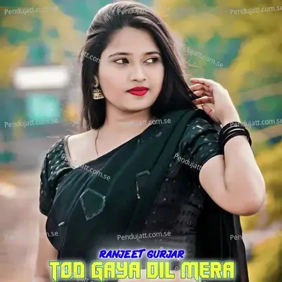 Tod Gaya Dil Mera - Ranjeet Gurjar album cover 