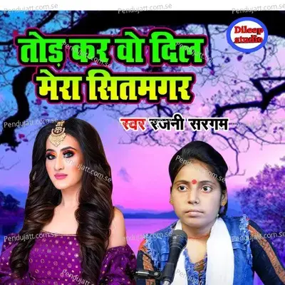 Tod Kar Vo Dil Mera Sitamgar - Rajani Sargam album cover 