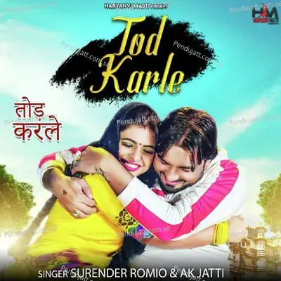 Tod Karde - Surender Romio album cover 