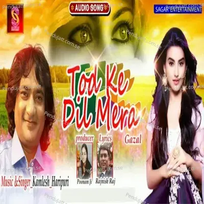 Tod Ke Dil Mera - Kamlesh Haripuri album cover 