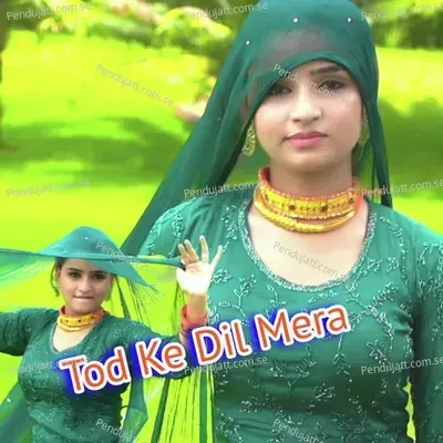 Dil Mat Tode - Sahil Sayar Sakras album cover 