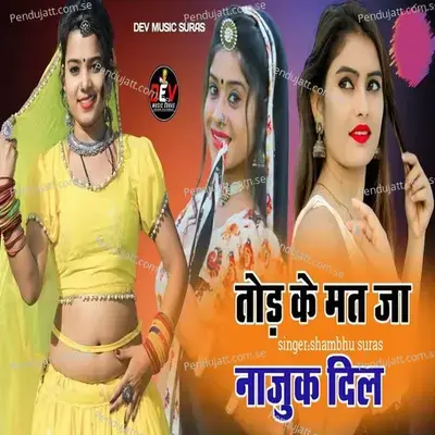 Tod Ke Mat Ja Nazuk Dil - Shambhu Suras
