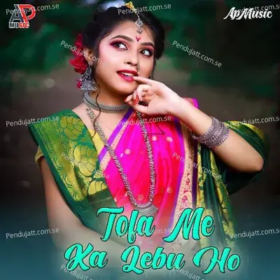 Tofa Me Ka Lebu Ho - Amit Singh album cover 