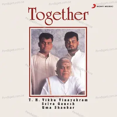 Vinayaka  Raag Hamsadhwani - Aadi - Vikku Vinayakram album cover 