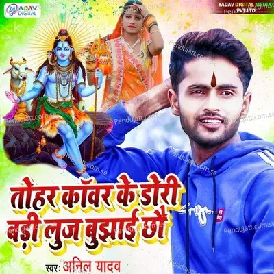 Tohar Kawar Ke Dori Bari Luj Bujhai Chhau - Anil Yadav album cover 