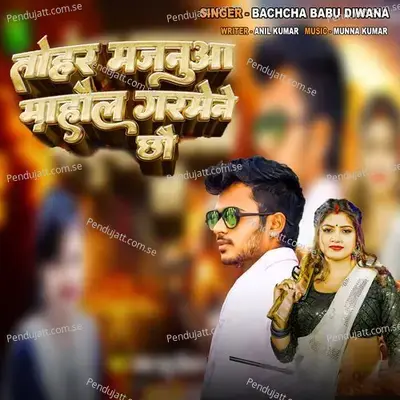 Tohar Majanua Mahol Garmene Chho - Bachcha Babu Diwana album cover 