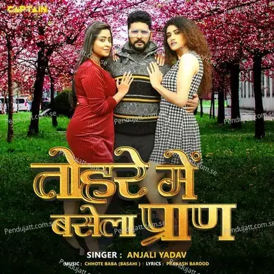 Tohare Main Basela Praan - Anjali Yadav album cover 