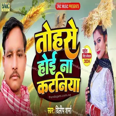 Tohase Hoi Na Katniya - Dilip Sharma album cover 