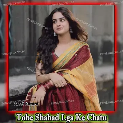 Tohe Shahad Lga Ke Chatu - Ajeet Katara album cover 