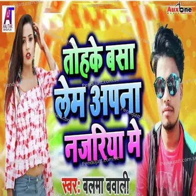 Tohke Basa Lem Apna Najriya Me - Balma Babli album cover 